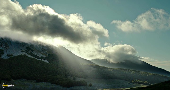 A still #38 from il buco (2021)