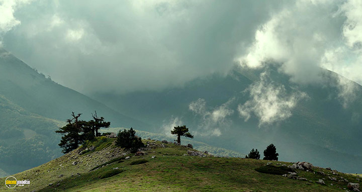 A still #35 from il buco (2021)