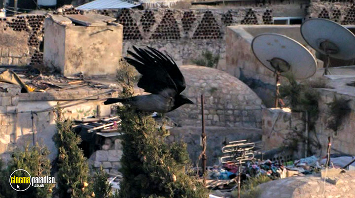 A still #38 from Fadia's Tree (2022)