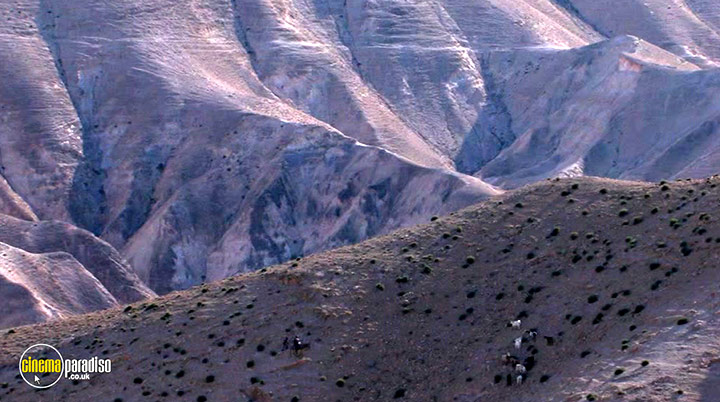 A still #30 from Fadia's Tree (2022)