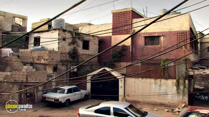 A still #14 from Fadia's Tree (2022)