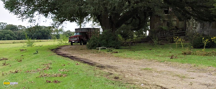 A still #52 from Jeepers Creepers: Reborn (2022)