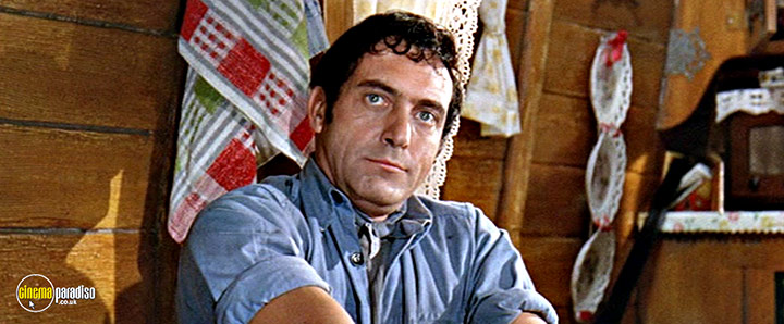 A still #36 from The Bargee (1964)