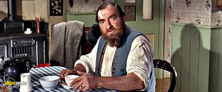 A still #17 from The Bargee (1964)