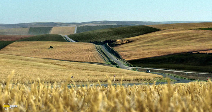 A still #48 from Hit the Road (2021)