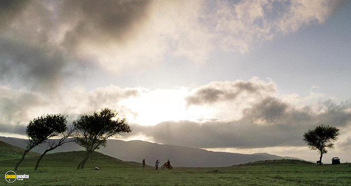 A still #26 from Hit the Road (2021)