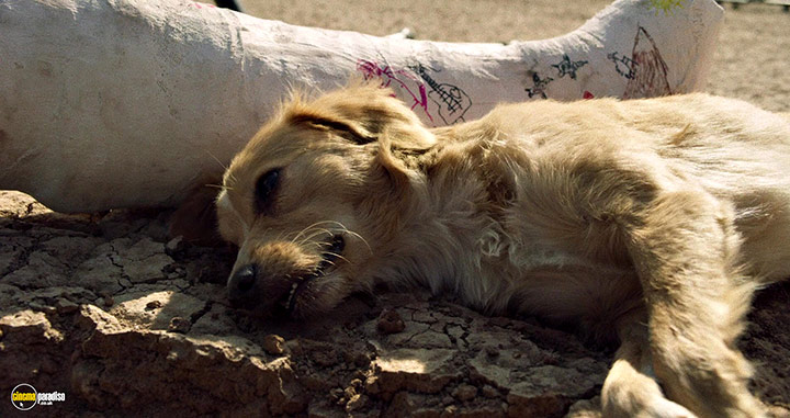 A still #13 from Hit the Road (2021)