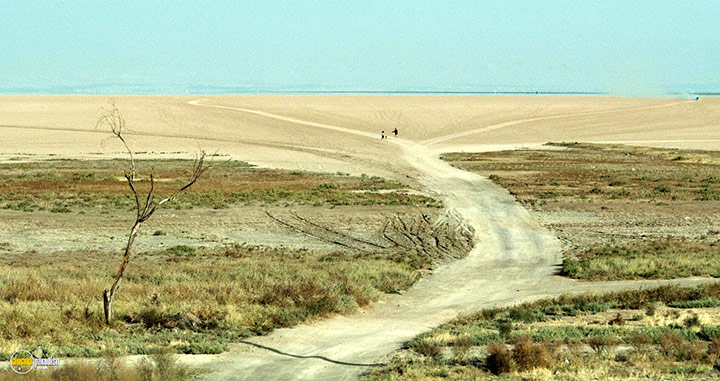 A still #4 from Hit the Road (2021)