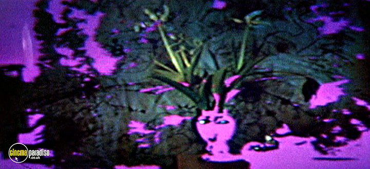 A still #9 from Gazwrx: The Films of Jeff Keen (1960)