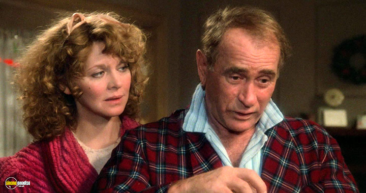 A still #26 from A Christmas Story (1983)