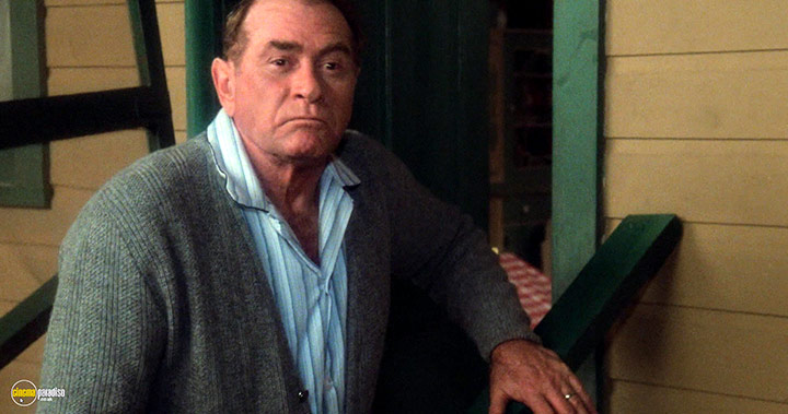 A still #24 from A Christmas Story (1983)