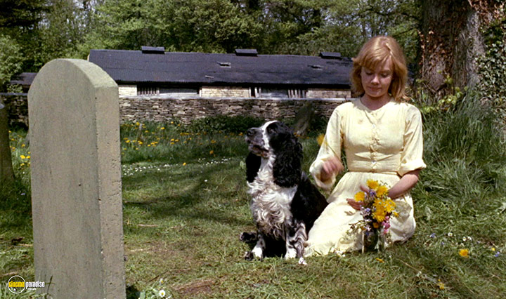 A still #14 from Sky West and Crooked (1966)
