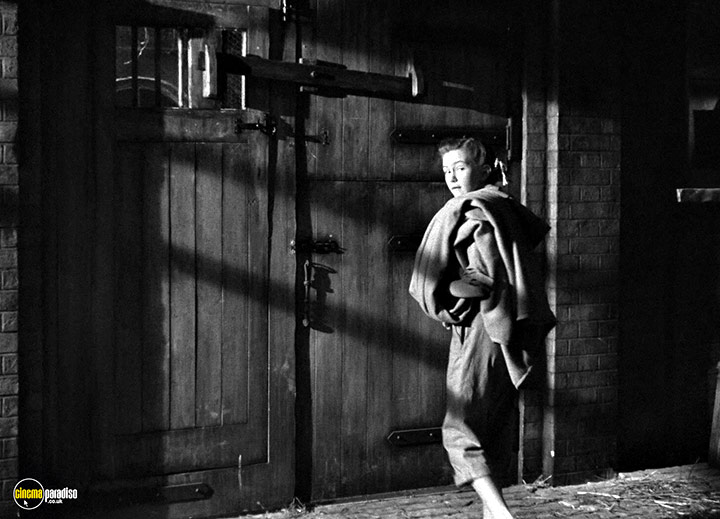 A still #71 from The Galloping Major (1951)