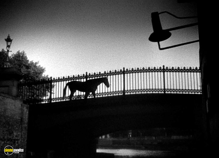 A still #72 from The Galloping Major (1951)