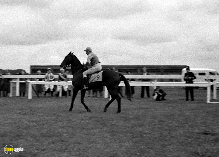 A still #93 from The Galloping Major (1951)