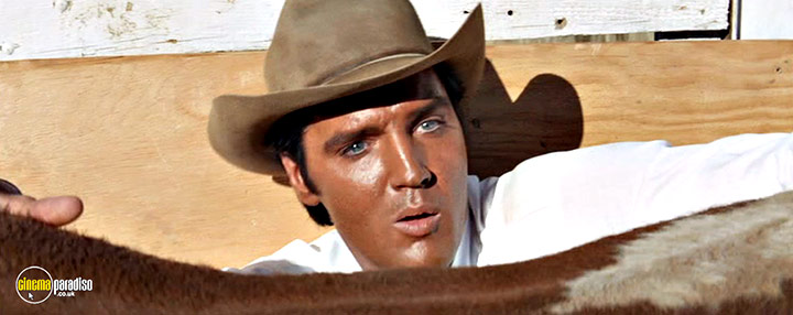 A still #20 from Stay Away, Joe (1968)
