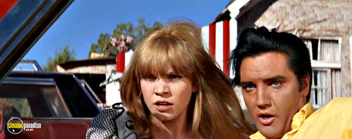 A still #11 from Stay Away, Joe (1968)