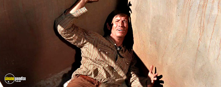 A still #3 from Stay Away, Joe (1968)