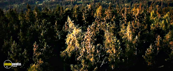 A still #17 from The Winter Witch (2022)