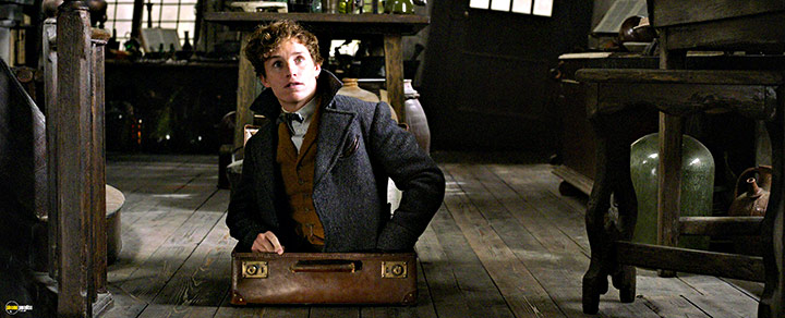 A still #84 from Fantastic Beasts: The Crimes of Grindelwald (2018)