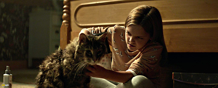 A still #87 from Pet Sematary (2019)