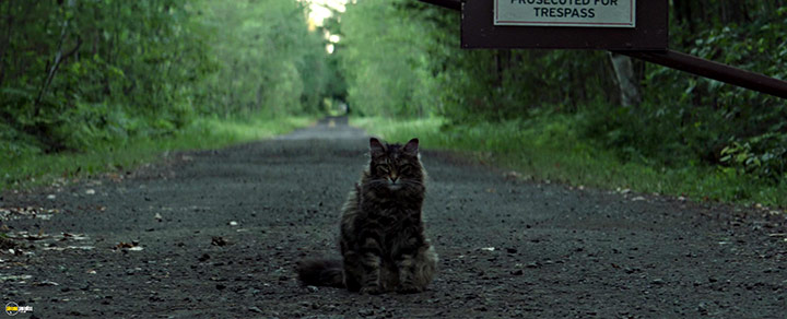 A still #80 from Pet Sematary (2019)
