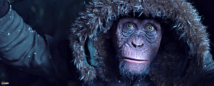 A still #59 from War for the Planet of the Apes (2017)