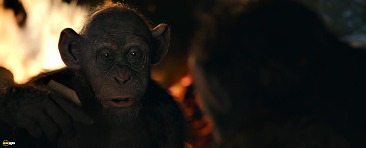 A still #60 from War for the Planet of the Apes (2017)