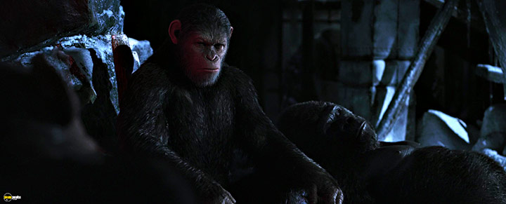 A still #61 from War for the Planet of the Apes (2017)