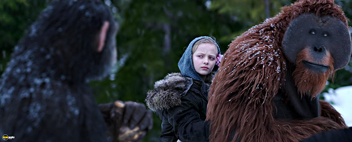 A still #62 from War for the Planet of the Apes (2017)