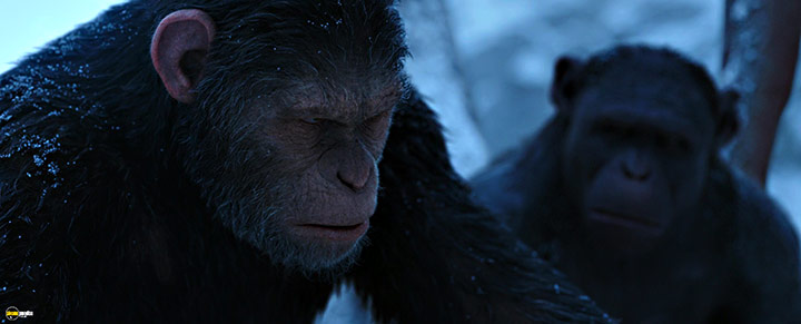A still #64 from War for the Planet of the Apes (2017)