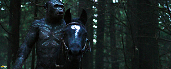 A still #65 from War for the Planet of the Apes (2017)