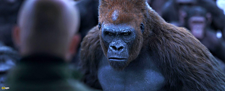 A still #73 from War for the Planet of the Apes (2017)