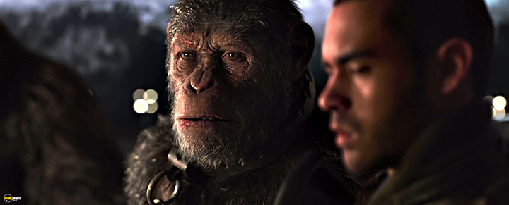 A still #75 from War for the Planet of the Apes (2017)