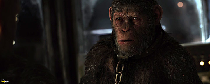 A still #77 from War for the Planet of the Apes (2017)