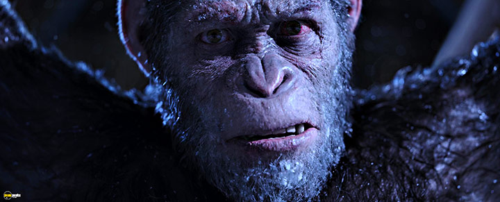 A still #81 from War for the Planet of the Apes (2017)
