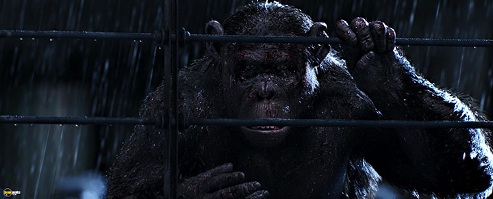 A still #84 from War for the Planet of the Apes (2017)