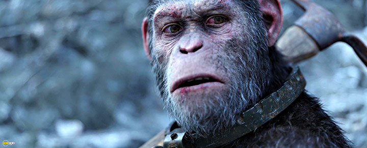 A still #86 from War for the Planet of the Apes (2017)