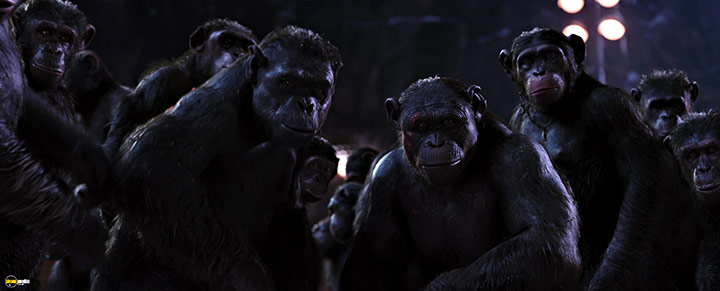 A still #87 from War for the Planet of the Apes (2017)