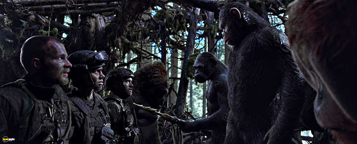 A still #89 from War for the Planet of the Apes (2017)
