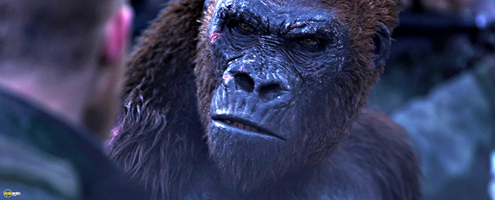 A still #92 from War for the Planet of the Apes (2017)