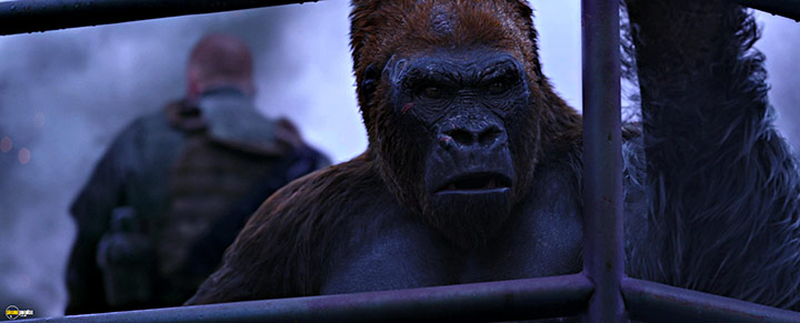 A still #94 from War for the Planet of the Apes (2017)