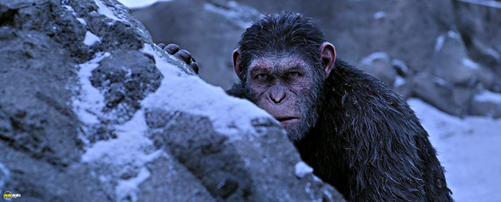 A still #96 from War for the Planet of the Apes (2017)
