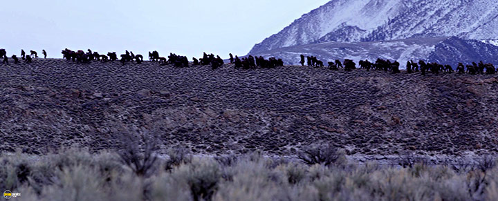 A still #98 from War for the Planet of the Apes (2017)