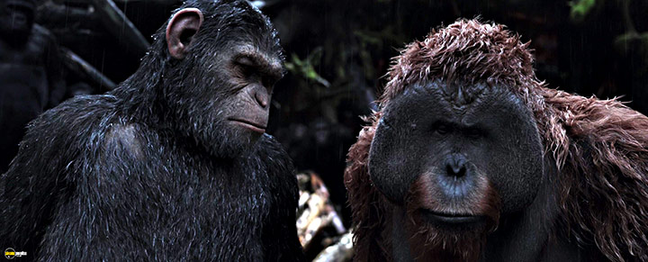 A still #57 from War for the Planet of the Apes (2017)