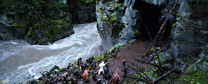 A still #54 from War for the Planet of the Apes (2017)