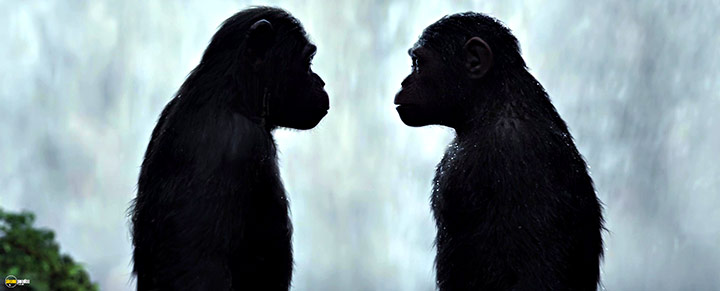 A still #53 from War for the Planet of the Apes (2017)