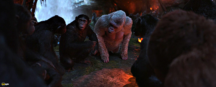 A still #52 from War for the Planet of the Apes (2017)