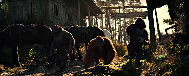 A still #47 from War for the Planet of the Apes (2017)
