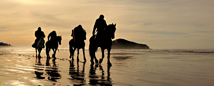 A still #46 from War for the Planet of the Apes (2017)